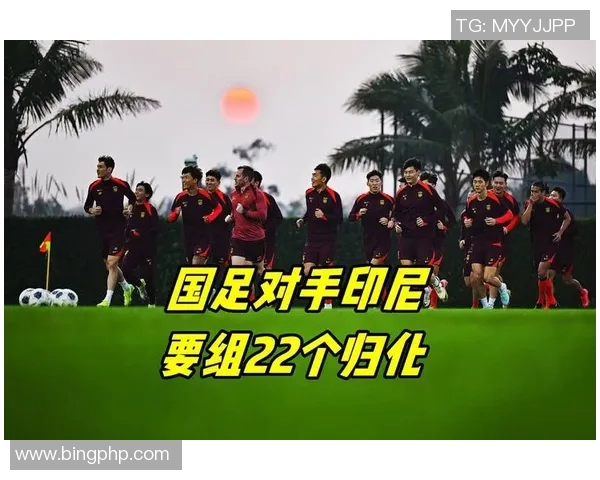 印尼媒体担忧塞鸟加盟后国足实力显著提升曾助力夺亚冠制胜球 印尼媒体担忧塞鸟加盟后国足实力显著提升曾助力夺亚冠制胜球